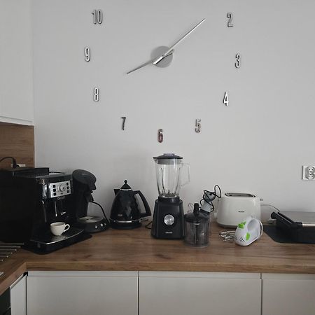 Apartament Przy Kopalni Srebra Tarnowskie Góry Eksteriør billede