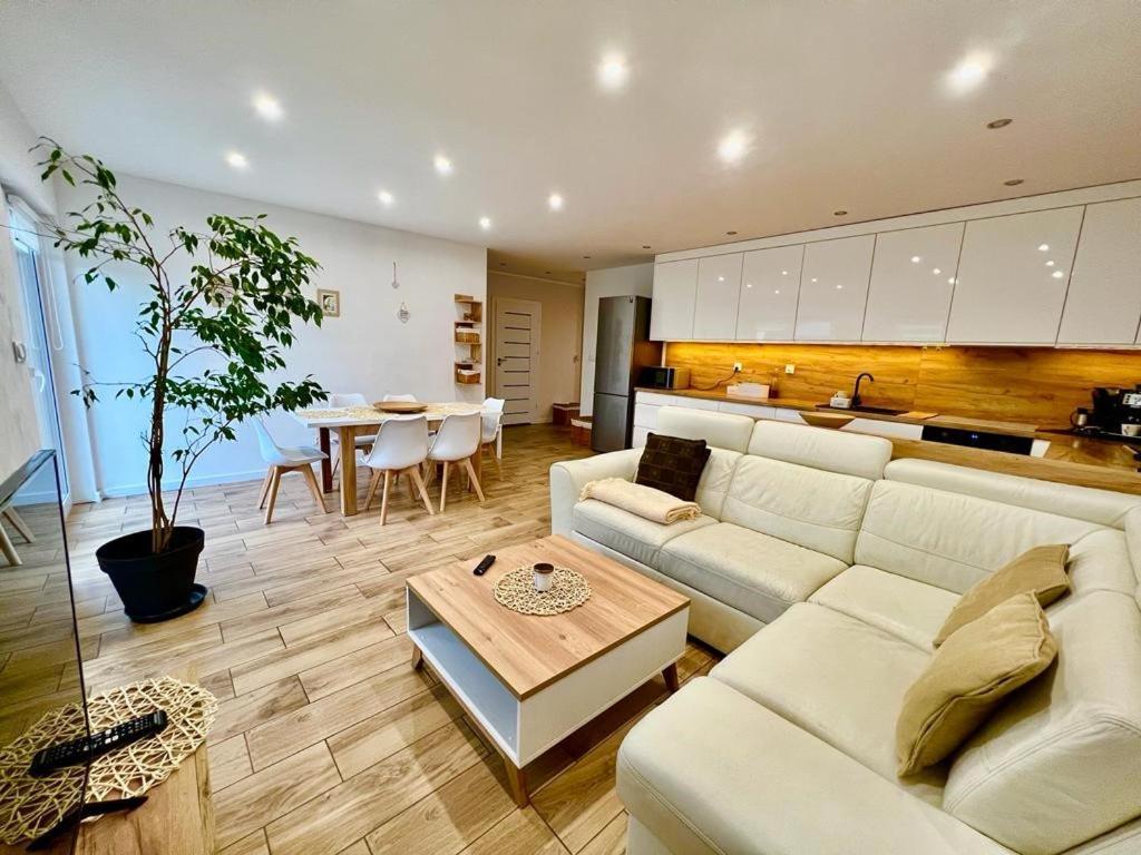 Apartament Przy Kopalni Srebra Tarnowskie Góry Eksteriør billede
